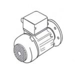 Двигатель к насосу Speck Filterpump Badu Magic 8