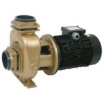 Насос бронзовый без префильтра Pahlen 12227 (102 м3/ч. 400/690В). Швеция