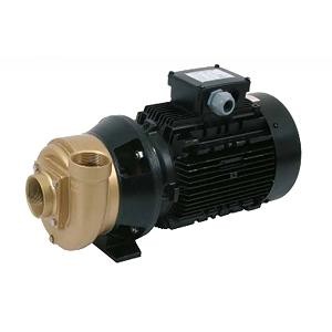 Насос бронзовый без префильтра Pahlen P85 5.5kw (80 м3/ч. 400/690В). Швеция