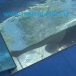 Донное зеркало Fastlane Floor Mirror. 900х600 мм