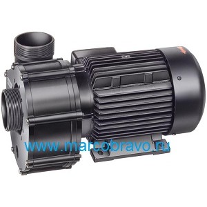Насос без префильтра Speck BADU 21-80/33G (65 м3/ч. 380В). Германия