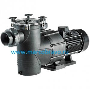 Насос с префильтром IML Big Discovery DY550T (64 м3/ч. 380 в). Испания