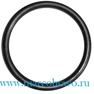 Уплотнительное кольцо Hugo Lahme FitStar арт. 575137