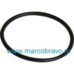 Уплотнительное кольцо адаптера насоса Pentair Swimmey. артикул R111P1070
